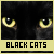 black cats (animals)