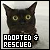 adopted + rescued cats (animals)